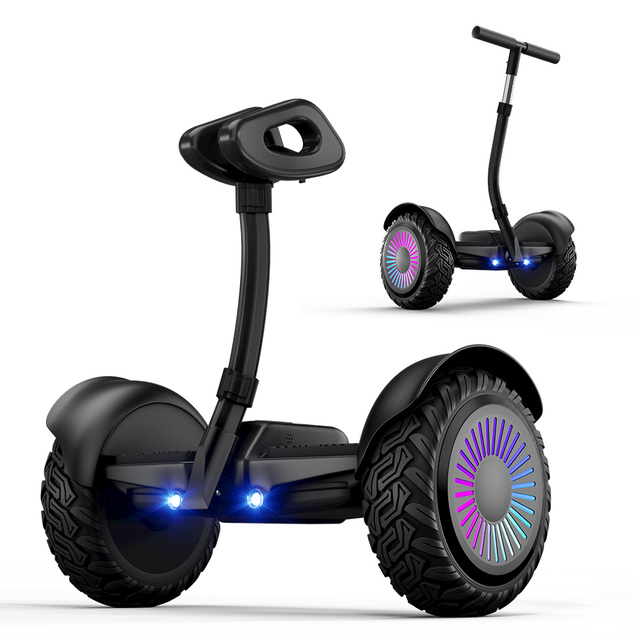 Quality Assured 2-Wheel Electric Self-Balancing Scooter with 10-Inch Tires for CE Certified Alloy Steel Frame 700W Motor