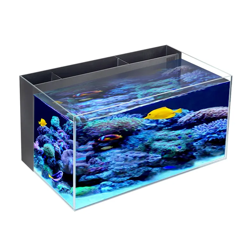 Prezzo di fabbrica OEM/ODM Square Ultra Clear Glass Aquarium Small Fish Tank all'ingrosso Desktop Back Filter Fish Tank