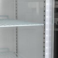 Réfrigérateur à boissons commercial de haute qualité à température unique / Congélateur vertical 2 portes vitrées Capacité 900L Vitrine réfrigérée