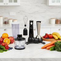 Nouvel Arrivage – Mixeur Portable Professionnel en Acier Inoxydable Alimenté par USB, à Contrôle Variable, Sans BPA, pour Usage Domestique et Extérieur
