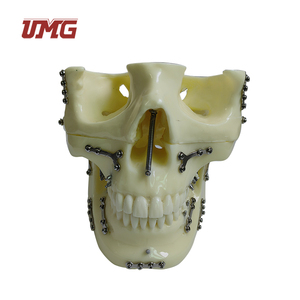 Modèle de <span class=keywords><strong>crâne</strong></span> pour la pratique des implants de fixation de fractures avec plaque en titane prépositionnée pour la formation chirurgicale, l'enseignement et la démonstration - Product Image 6