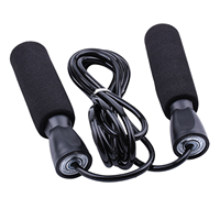 Kit de rouleau abdominal 6-en-1 en gros, équipement d'entraînement à domicile très vendu, ensemble d'entraînement musculaire abdominal pour femmes avec barre de poussée