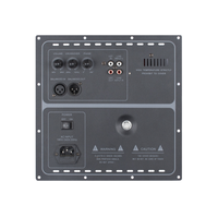 Module d'amplificateur audio professionnel Best Seller pour DJ, enceintes et subwoofer