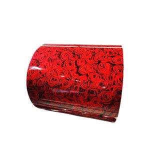 DX51D Z DX51D <span class=keywords><strong>AZ</strong></span> 0,15-3,0 <span class=keywords><strong>750</strong></span> 1650mm Acero certificado JIS PPGI PPGL Recubierto de color Galvalume Bobinas galvanizadas Doblado de soldadura - Product Image 2