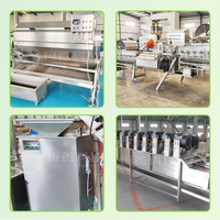 Línea de Producción de Papas Fritas de 2000 kg/h, Línea de Producción Automática de Papas Fritas Comercial