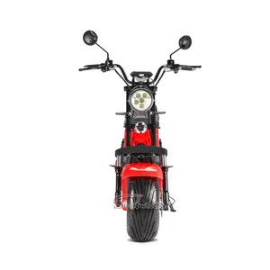 EU 2000w moto 1500w modello popolare EEC popolare scooter 60v 20ah batteria per adulti ciclo di citycoco