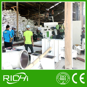 Richi-giá cả hợp lý 0.5-3t/h thiết bị viên gỗ/dây chuyền sản xuất viên - Product Image 4
