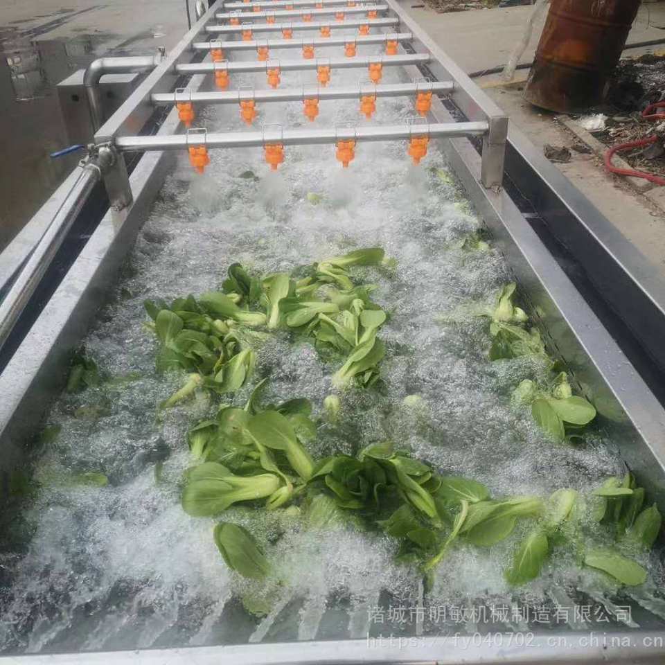High Pressure Air Bubble Vegetable Tomatoes Carrot Washer Fruit ...