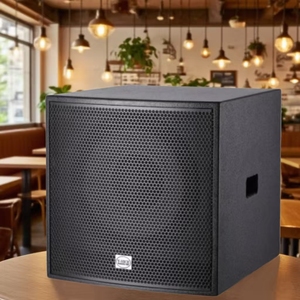 Caisson de basses OEM ODM VS-112SUB 124dB SPL, 2 x NL4 Speakon, unité 12 pouces, 35Hz - 250Hz, audio professionnel pour les scènes - Product Image 3