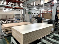 DES 25mm prix de gros de haute qualité panneau de particules étanche à l'humidité feuille de carton aggloméré panneau OSB