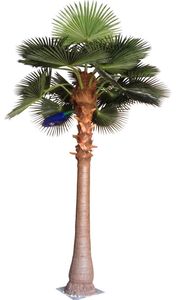 Nhà máy trực tiếp lớn dừa nhiệt đới cọ nhà máy nhân tạo bên ngoài cảnh quan cây cọ - Product Image 5