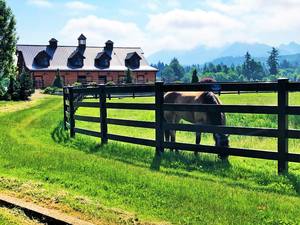 住宅の3Dモデリング用 簡単設置 ブラックビニール PVCプラスチック製 レール牧場・農場・馬用パドックフェンス 変色・退色なし - Product Image 6