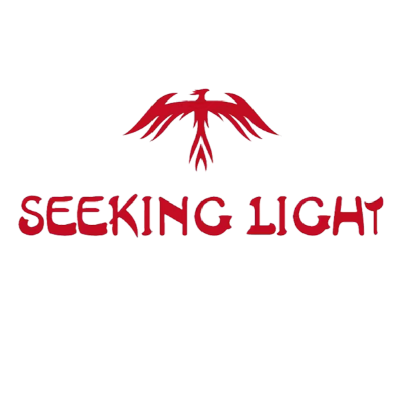 Tai' an Seeking Light Auto Parts Co.,Ltd logo