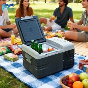 Mini-réfrigérateur-congélateur portable à faible consommation pour camping, glacière à compresseur, réfrigérateur de voiture à zone unique, refroidissement écoénergétique - Product Image 1