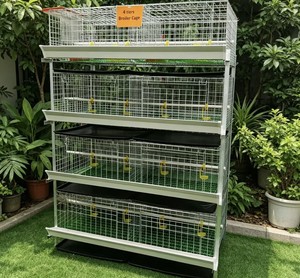 Jaula para Pollos de 4 Niveles y 2 Puertas, Galvanizada en Frío, para 96 Pollos - Product Image 1