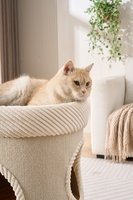 Tour pour chat moderne en velours côtelé beige avec deux couchages cachés, bordure en corde, maisonnette ronde compacte pour chat d'intérieur avec boule suspendue