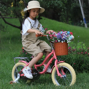 Vélo de princesse pour filles certifié <span class=keywords><strong>CPC</strong></span>, 12-18 pouces, vente en gros OEM ODM, vélo rétro pour enfants avec roues d'apprentissage lumineuses - Product Image 6