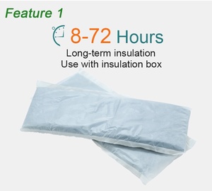 Tái Sử Dụng <span class=keywords><strong>Ice</strong></span> Cách Nhiệt Bông Khối Lạnh Gói Băng Tủ Đông Khối Phân Hủy Sinh Học Cấp Thực Phẩm Cách Điện Hộp Lót - Product Image 2