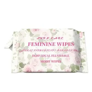 Senhora biodegradável original do algodão do OEM Equilíbrio do PH do cuidado da parte privada femining 99,9% água limpe limpezas molhadas limpas do grande tamanho - Product Image 1
