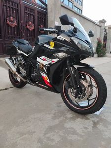 Moto <span class=keywords><strong>Kawasaki</strong></span>-style Small <span class=keywords><strong>Ninja</strong></span> 250cc, économique en carburant et durable. Exportable. Expédition directe du fabricant. - Product Image 4