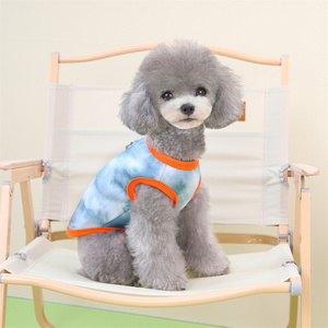 Pakaian anjing hewan peliharaan baru musim gugur musim dingin 2023 pakaian anjing hewan peliharaan lucu Teddy Pomeranian rompi terang multiwarna - Product Image 6
