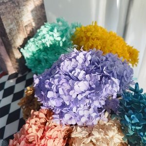 <span class=keywords><strong>Hortensia</strong></span> séchée conservée, <span class=keywords><strong>fleurs</strong></span> volumineuses <span class=keywords><strong>séchées</strong></span> Anna <span class=keywords><strong>hortensia</strong></span>, décorations de mariage, <span class=keywords><strong>hortensia</strong></span> pagode, vente en gros, 2023 - Product Image 5
