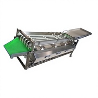 Elektrische automatische appel-, citroen- en sinaasappelsorteer- en -gradeermachine met motor, 304 roestvrij staal, capaciteit 2000 kg/uur