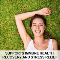 Complément Énergisant OEM pour Hommes : Soutient la Santé Immunitaire, la Récupération et le Soulagement du Stress – Capsules d'Ashwagandha pour la Croissance Musculaire Maigre