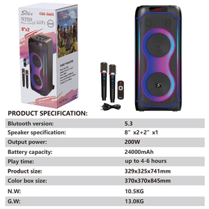 CQS-S6611 Enceinte DJ professionnelle double 8 pouces en plastique avec éclairage RGB, 2 microphones sans fil, promotion usine, grand karaoké - Product Image 5