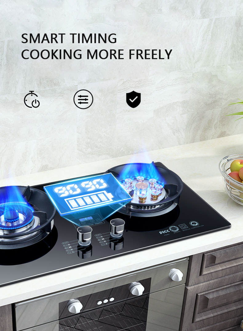 Household Nineburner Double Stove Builtin Natural Gas kitchen stove