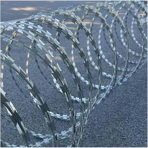 Vendita Calda BTO-25 30 Filo Spinato Zincato a Doppia Bobina in PVC per Recinzioni Protettive in Cantieri e per la Sicurezza del Paese - Product Image 1