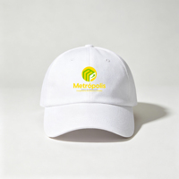 AI-MICH – Tasses et gobelets vierges personnalisables par sublimation avec logo, coffret cadeau d'entreprise, kit de bienvenue pour entreprise, articles promotionnels pour événements