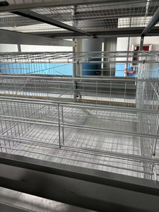 Utilisation à long terme Cage à volaille de type H Cages économiques pour animaux pour la ponte et la ponte des œufs Poulailler utilisé - Product Image 5