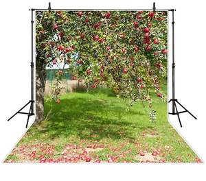 Photographie toile de fond arbre automne fruits prairie printemps fond photozone photographie photo studio <span class=keywords><strong>photophone</strong></span> - Product Image 1