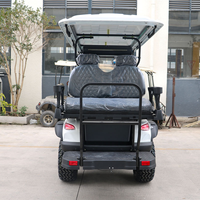 Voiturette de golf Robetaa 6 places électrique/à essence 60V avec position debout pour le caddie arrière à vendre