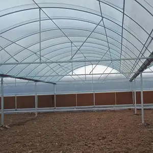 industrial price greenhouse agriculture growing used for sale