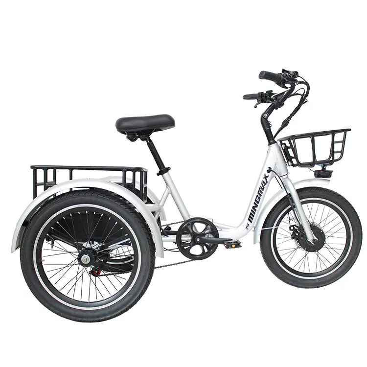 Fabrika e bisikletleri 2023 elektrikli bisiklet 20 inç kargo 500w 750w elektrikli üç tekerlekli bisiklet yağ lastik etrike 3 tekerlekli dağ E trike