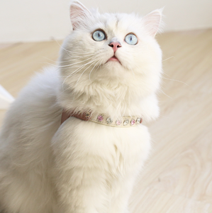 Offre Spéciale cuir Pu laisses imperméables chat chien harnais et laisse ensemble avec strass - Product Image 5