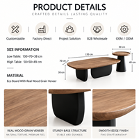 Ensemble de tables basses ovales, design minimaliste moderne du milieu du siècle, design créatif, meubles de salon, fabrication OEM ODM directe d'usine