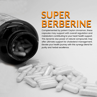 Complément Herbal à Base de Berbérine Marque Blanche pour le Soutien du Métabolisme Adulte – Capsules Végétales de Berbérine