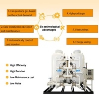 Générateur d'oxygène portable de qualité supérieure générateur d'oxygène Psa haute purifié usine de concentrateur O2