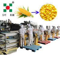 Ligne de traitement personnalisable pour maïs congelé - Ensemble complet de ligne de production de congélation rapide IQF pour maïs sucré
