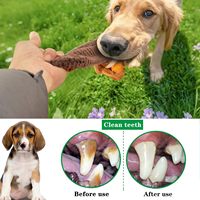 Jouet de puzzle pour chien Squirrel Dog - Jouet interactif en peluche qui couine et à mâcher, avec défis olfactifs et d'intelligence pour la stimulation mentale