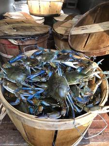 PANIER BOISSON POUR FRUITS DE MER CONTENANT ET DÉCORATION DE JARDIN EN VENTE À PRIX RAISONNABLE 2024 BLEU LOTUS FARM - Product Image 2