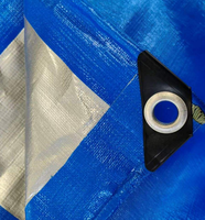 Blaue Polyethylen-beschichtete Wasserdichte Reißfeste Anti-UV Haustier-Rollplane für Outdoor-Temporäre Unterstandauskleidung