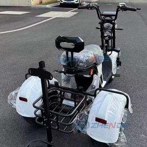 Motocicleta eléctrica de tres ruedas con certificación CE, directa de fábrica, con cesta trasera, ideal para desplazamientos y ocio. - Product Image 3