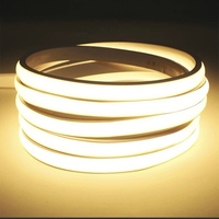 Bande lumineuse LED COB 320 LED 8 mm de large 10W/m R90 IP67 avec télécommande USB 6000K blanc froid