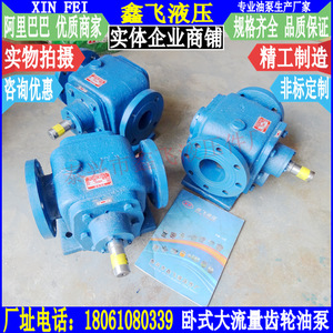 Pompe à huile à engrenages hélicoïdaux horizontale à haut débit XB-250 WXB-B250 XBZ XLB-250, pompe hydraulique à arête de poisson, catégorie pompes hydrauliques - Product Image 3