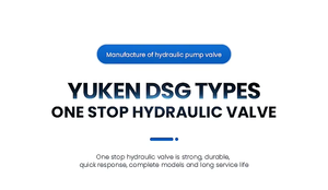 โซลินอยด์ไฮดรอลิกควบคุมทิศทางแบบ DSG ซีรีส์ DSG-01 DSG-02 DSG-03 รุ่น DSG-01-3C3-D24-N1-51T - Product Image 6
