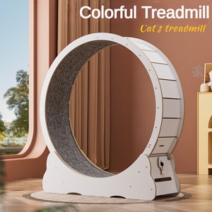 Roda lari kucing serat tinggi warna-warni roda kebugaran senyap pengurang kebisingan bahan kayu berkelanjutan penjual terbaik - Product Image 2